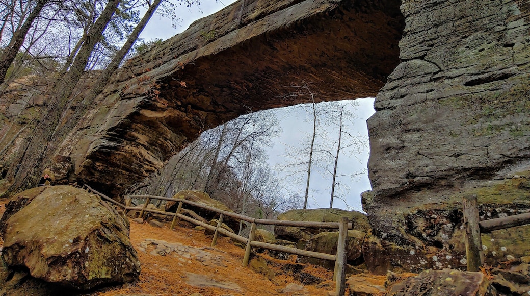 The namesake of the park is a natural sandstone arch that spans 78 ft and is 65 ft high.