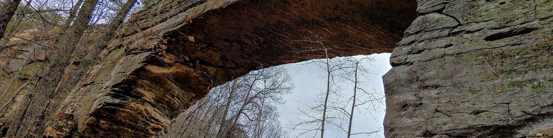 The namesake of the park is a natural sandstone arch that spans 78 ft and is 65 ft high.