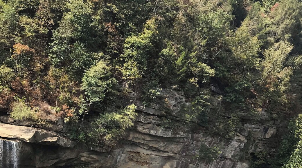 Double rainbow! 💕