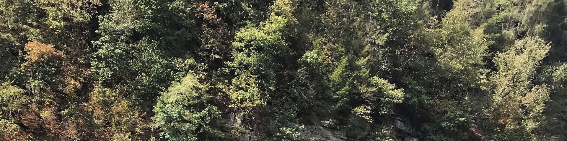 Double rainbow! 💕