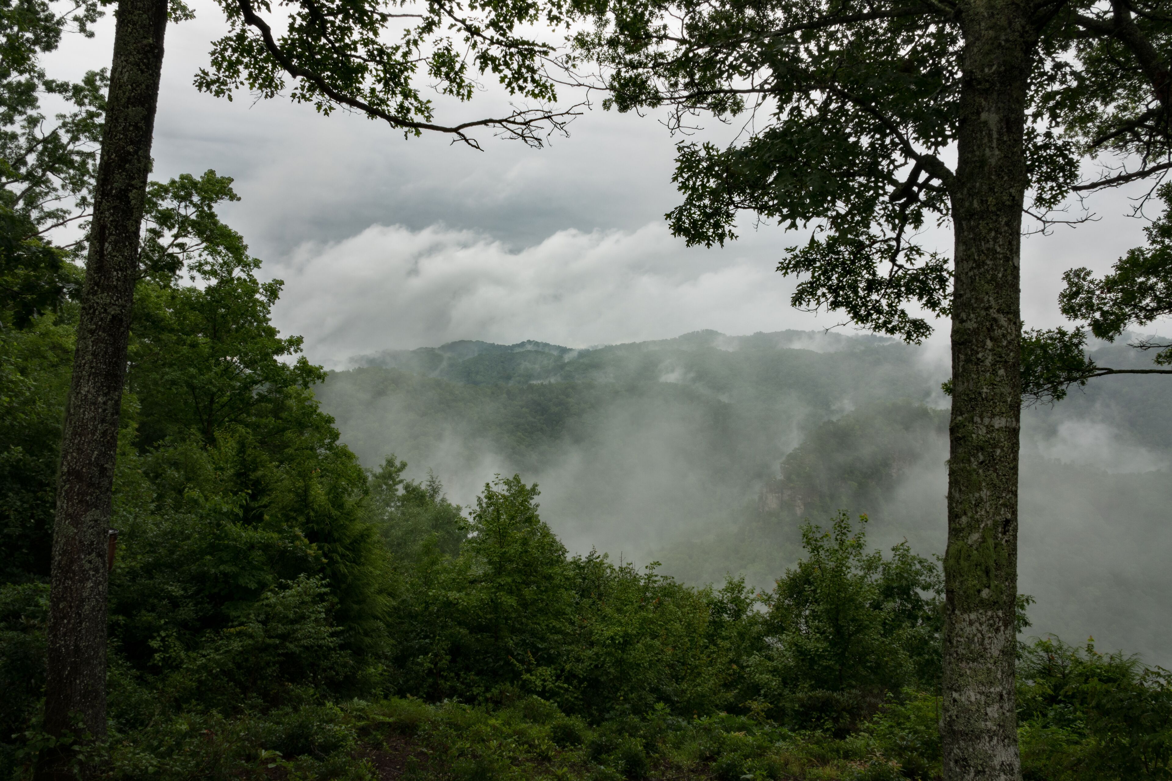 สวน Breaks Interstate