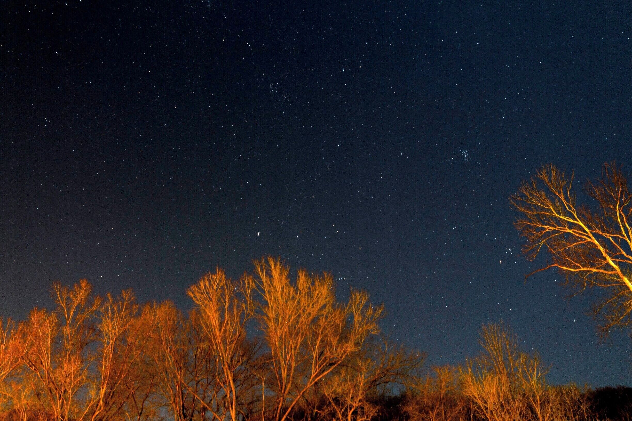 As I drove home the night really cleared up so I stopped at the fort to grab a photo of the stars. Nice place to do so, but there are a lot of street lights around, hints the lit up trees. 
