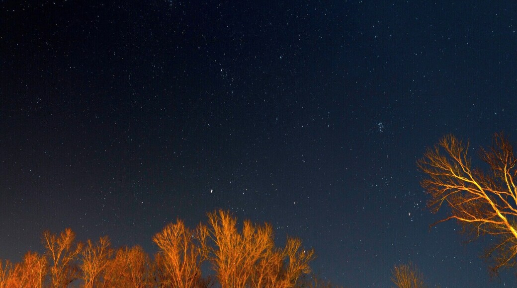 As I drove home the night really cleared up so I stopped at the fort to grab a photo of the stars. Nice place to do so, but there are a lot of street lights around, hints the lit up trees.
