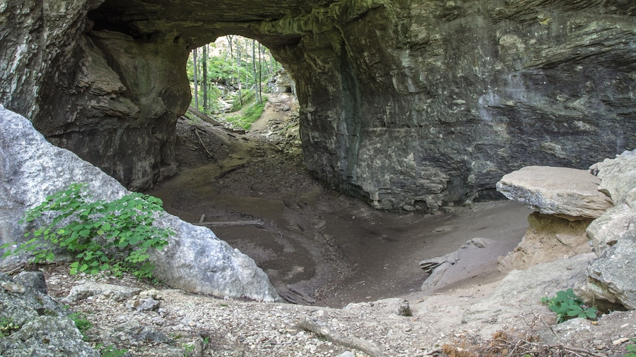 حديقة كارتر كيفز