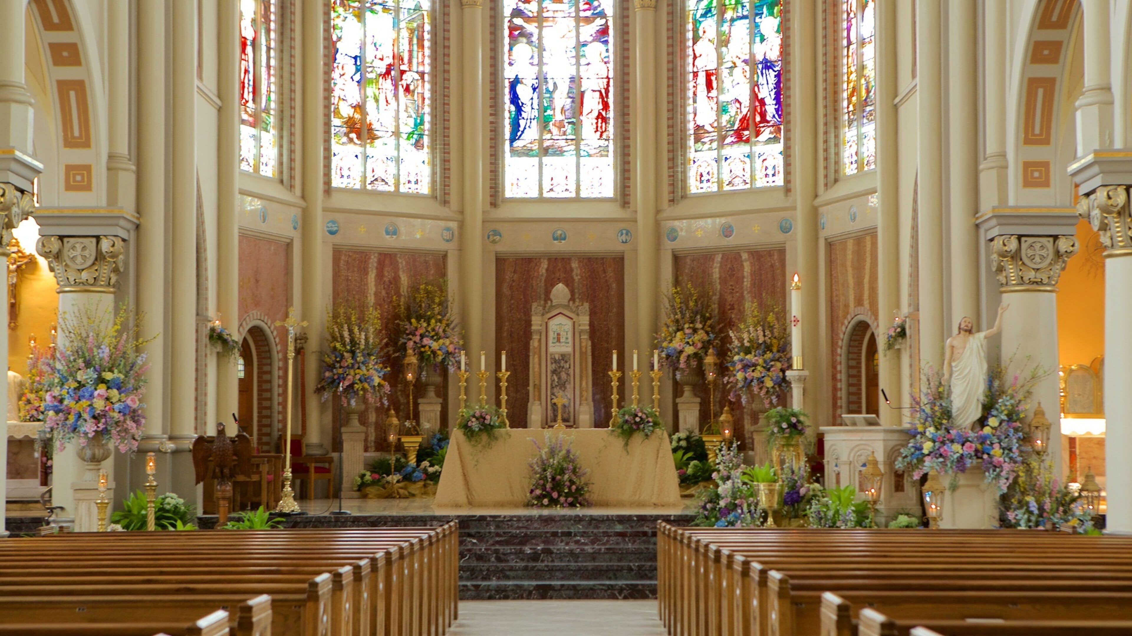 Cathedral of St John que inclui uma igreja ou catedral, aspectos religiosos e vistas internas