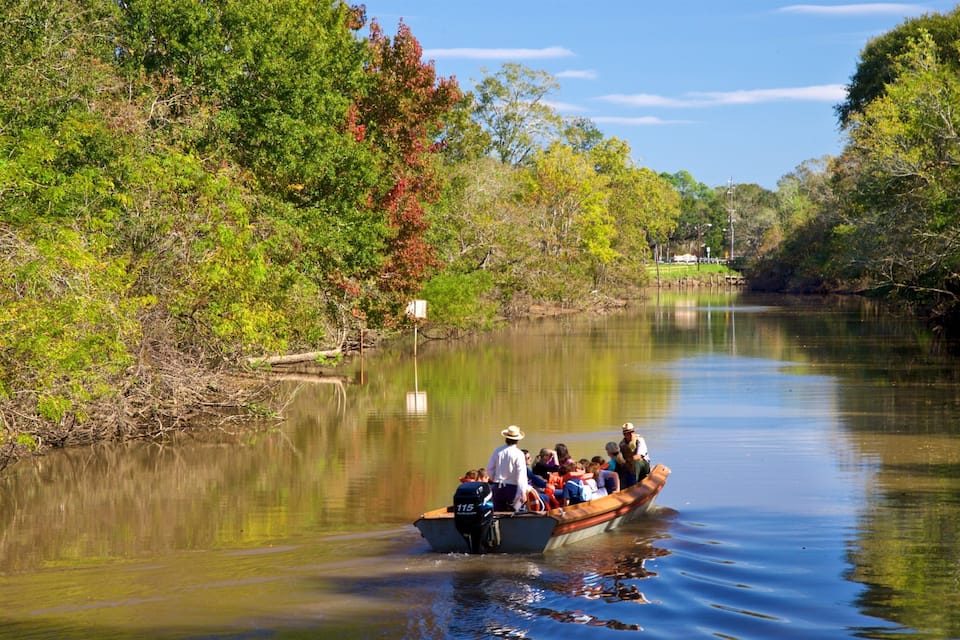 A boat with passengers on a calm river surrounded by dense trees.