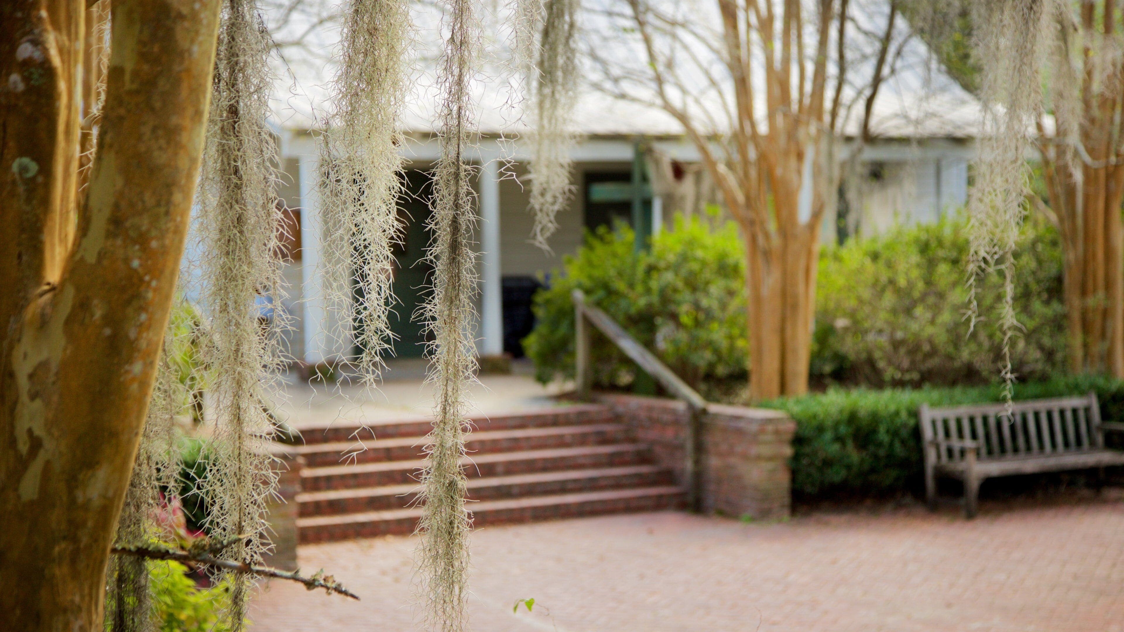 Vermilionville showing a house