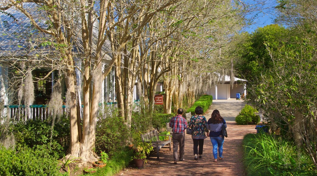 Vermilionville som inkluderar en trädgård såväl som en liten grupp av människor