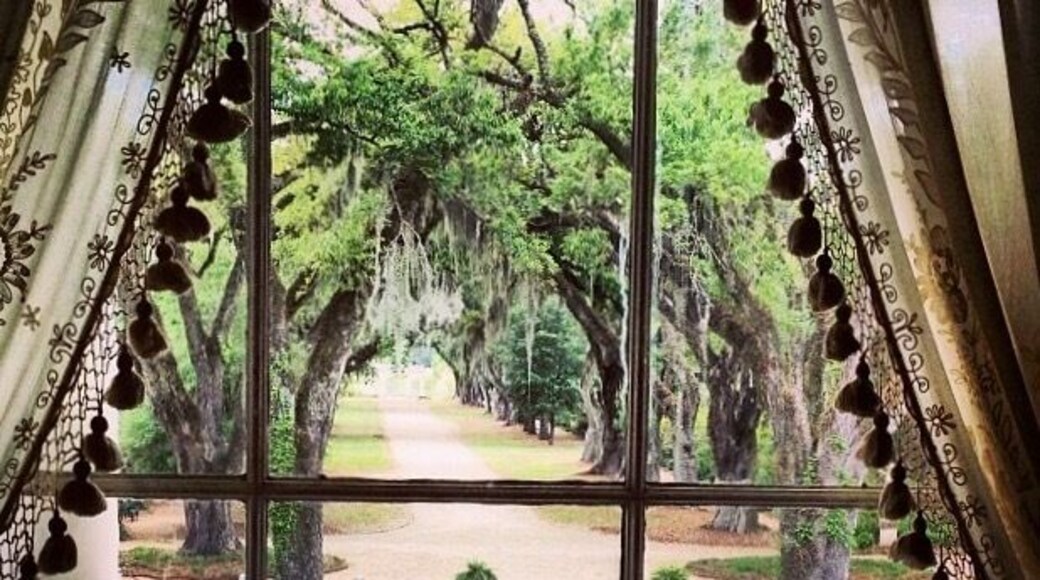 Looking out of the Master bedroom of the Rosedown Plantation. Sugarcane Plantation. Spring