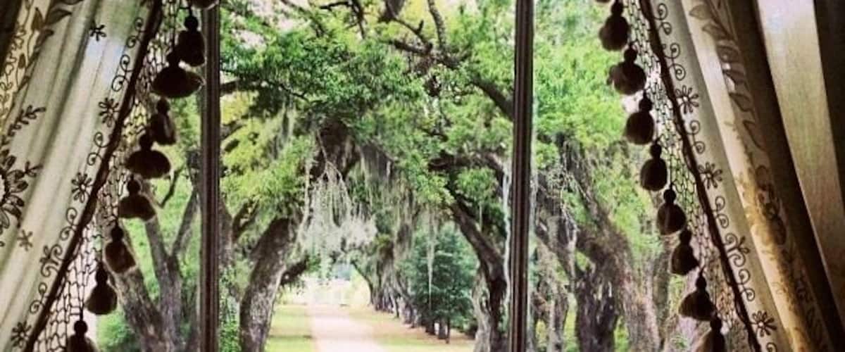 Looking out of the Master bedroom of the Rosedown Plantation. Sugarcane Plantation. Spring