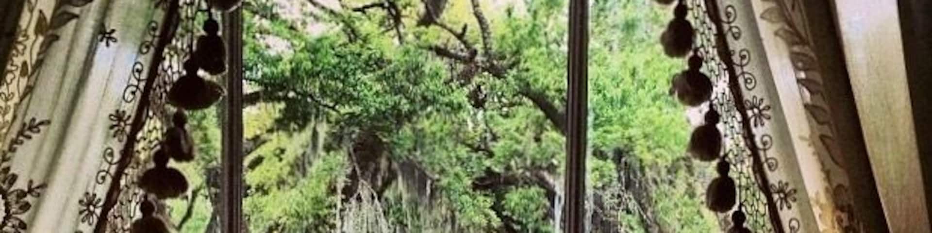 Looking out of the Master bedroom of the Rosedown Plantation. Sugarcane Plantation. Spring
