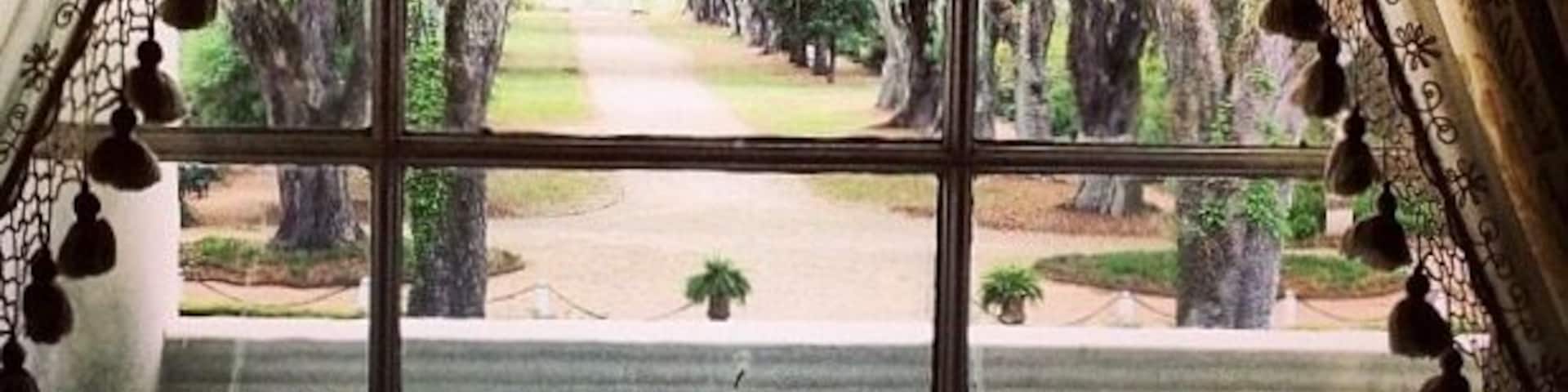 Looking out of the Master bedroom of the Rosedown Plantation. Sugarcane Plantation. Spring
