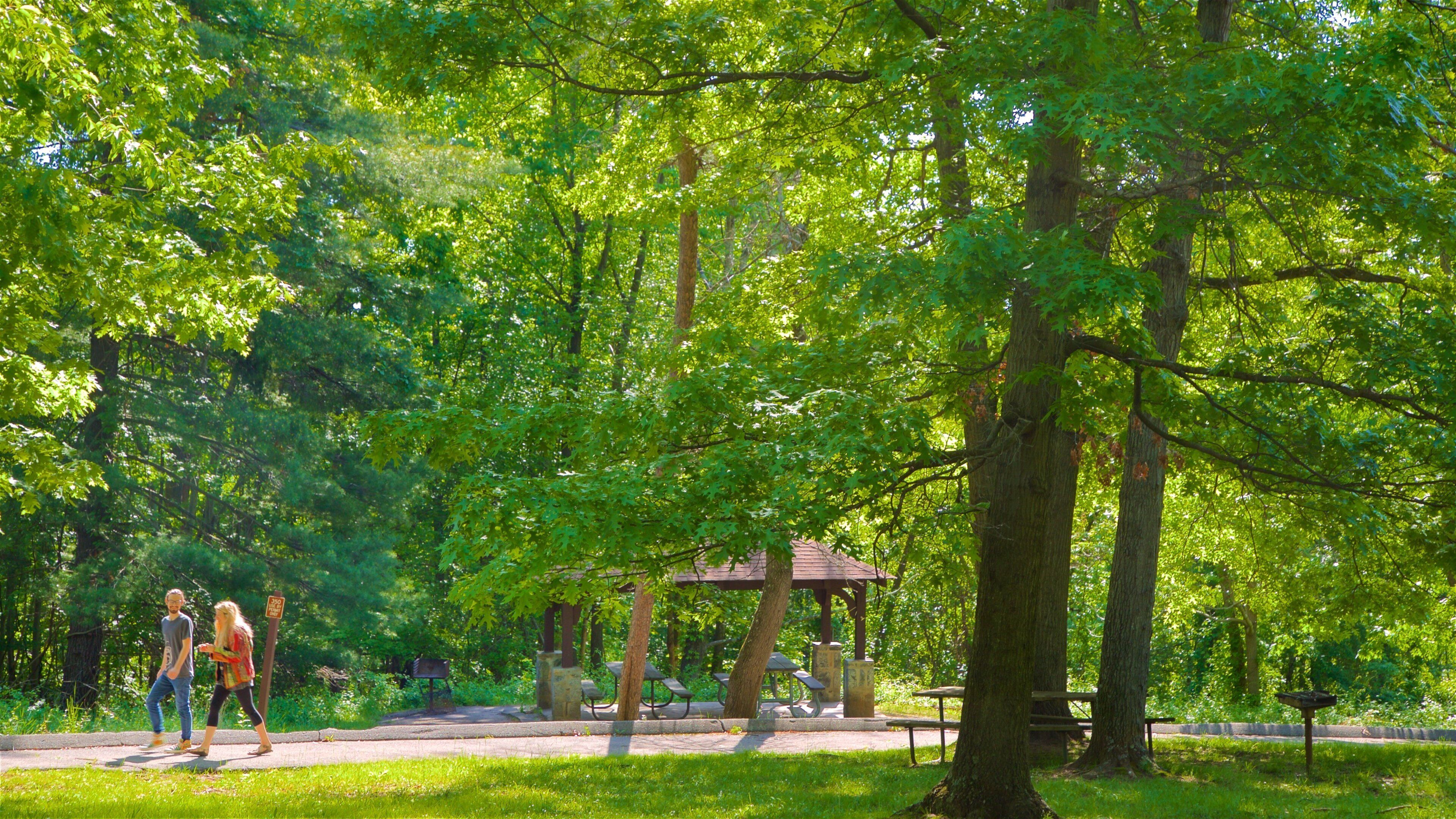Patapsco Valley State Park
