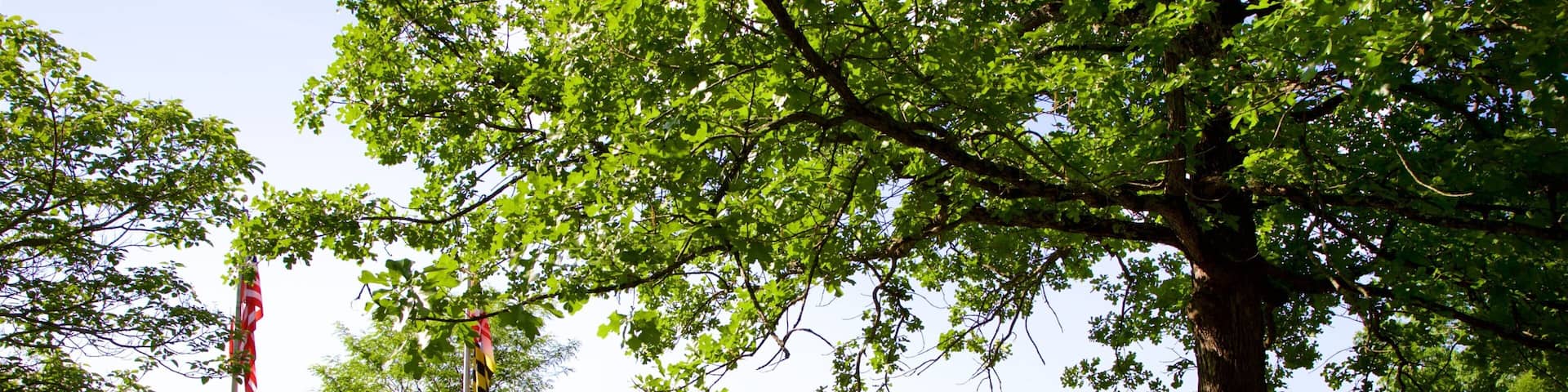 Patapsco Valley State Park