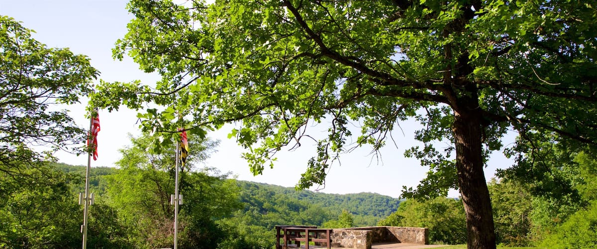 A park with a paved path, a stone bench, and a flagpole with a flag.