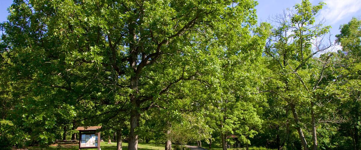 Patapsco Valley State Park