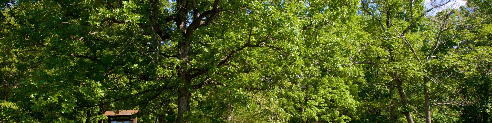 帕塔普斯科谷州立公园