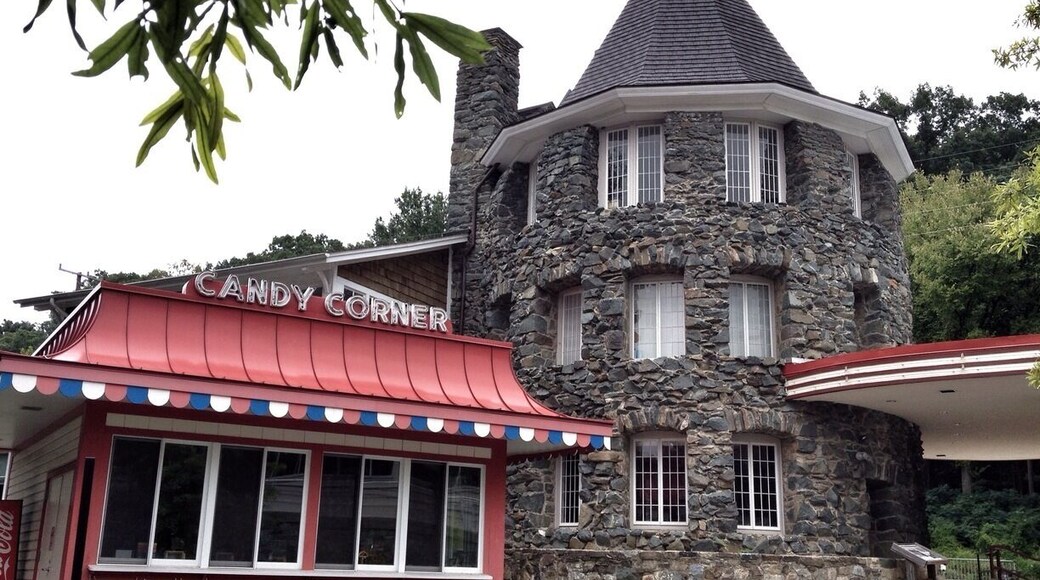 Historic amusement park repurposed with restored facades on the outside and artist studios, galleries, a dance hall, and more. This tower was built in 1891, most of the other buildings in the 1920's to 1940.