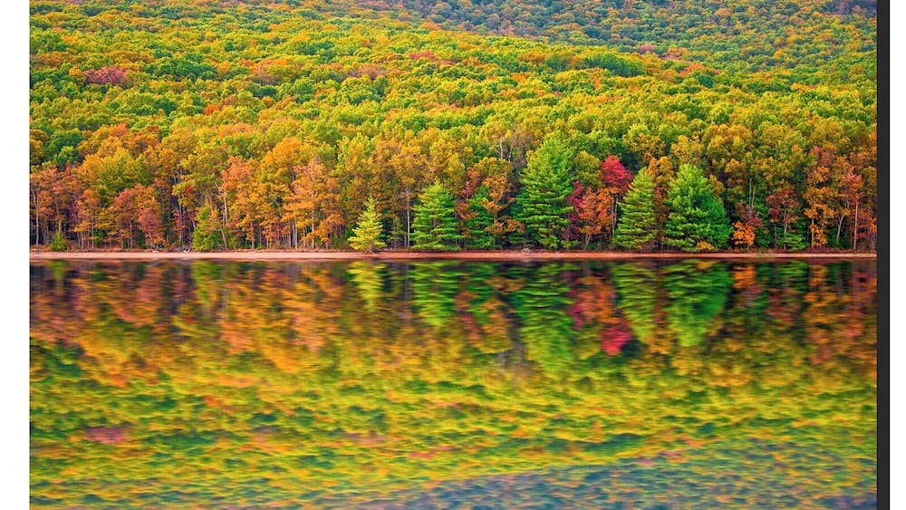 Un lac entouré d’arbres aux couleurs automnales, dont le reflet se mire à la surface de l’eau.
