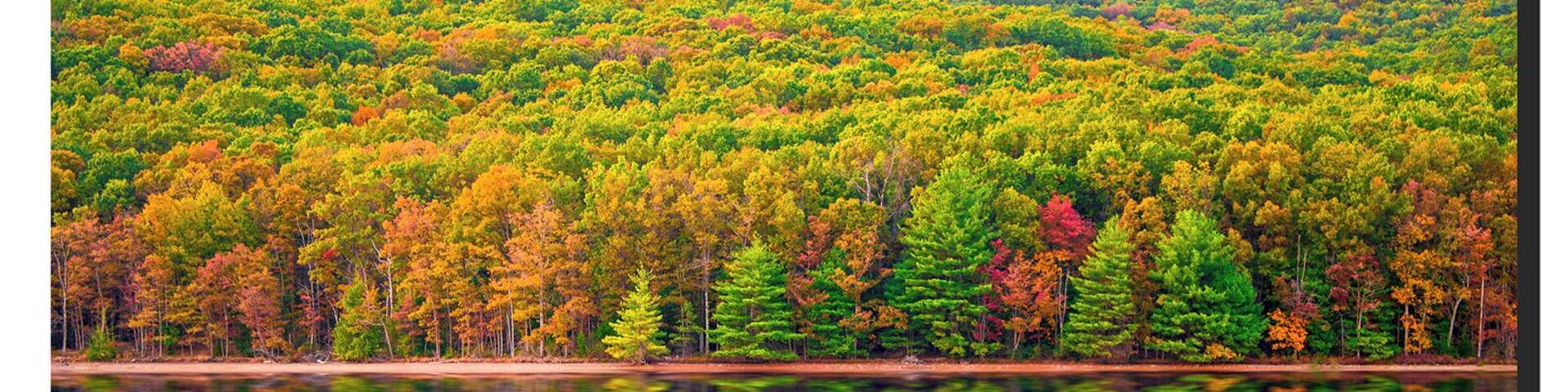 When I am out with my camera, I look for something inspiring, something different that I can capture and often print to create an everlasting memory for myself and my friends. Few of the things that I love capturing are stunning reflections, colors, landscapes and skylines.
I returned to this park almost after three years and wasn't disappointed at all. Rocky gap State Park is located in Western Maryland, 2 hours drive from Baltimore. The fall colors have not peaked in this part of Maryland yet, but likely they will in the next one week. The wind speed was very slow last evening and I was able to catch a good reflection in the lake (Lake Habeeb).
#Trovember #RockyGapStatePark #Maryland
https://www.instagram.com/mypixtagram/