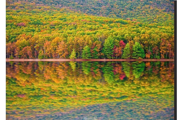 When I am out with my camera, I look for something inspiring, something different that I can capture and often print to create an everlasting memory for myself and my friends. Few of the things that I love capturing are stunning reflections, colors, landscapes and skylines.
I returned to this park almost after three years and wasn't disappointed at all. Rocky gap State Park is located in Western Maryland, 2 hours drive from Baltimore. The fall colors have not peaked in this part of Maryland yet, but likely they will in the next one week. The wind speed was very slow last evening and I was able to catch a good reflection in the lake (Lake Habeeb).
#Trovember #RockyGapStatePark #Maryland
https://www.instagram.com/mypixtagram/