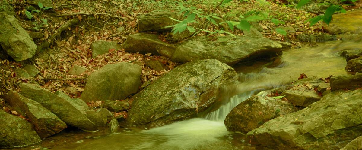 A clear stream flowing over rocks in a forested area.