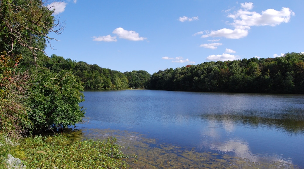 Greenbelt Park Lake in Maryland, USA; Shutterstock ID 126429617; Purchase Order: -