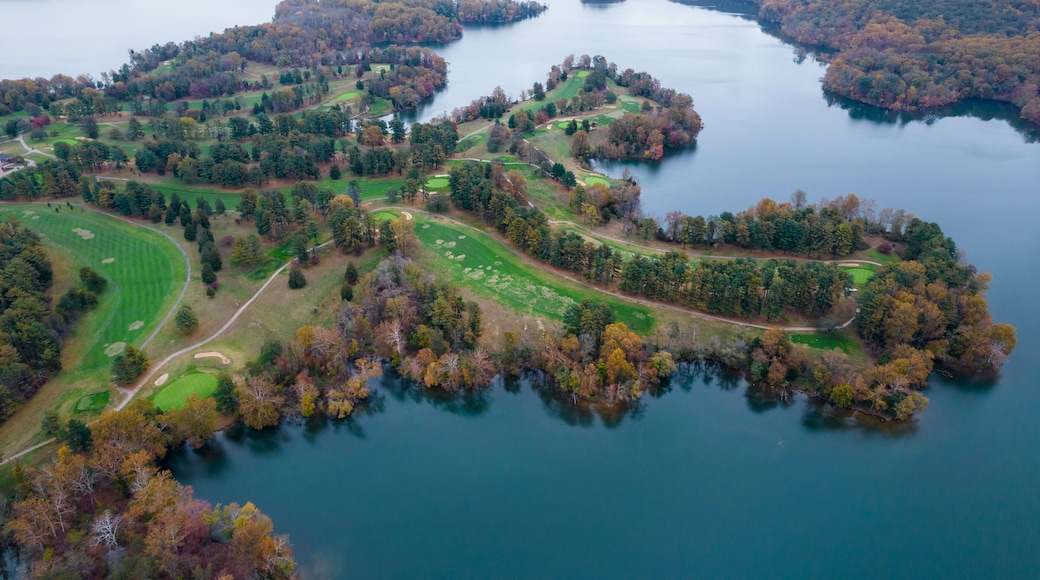 Pine Ridgen golfkenttÀ