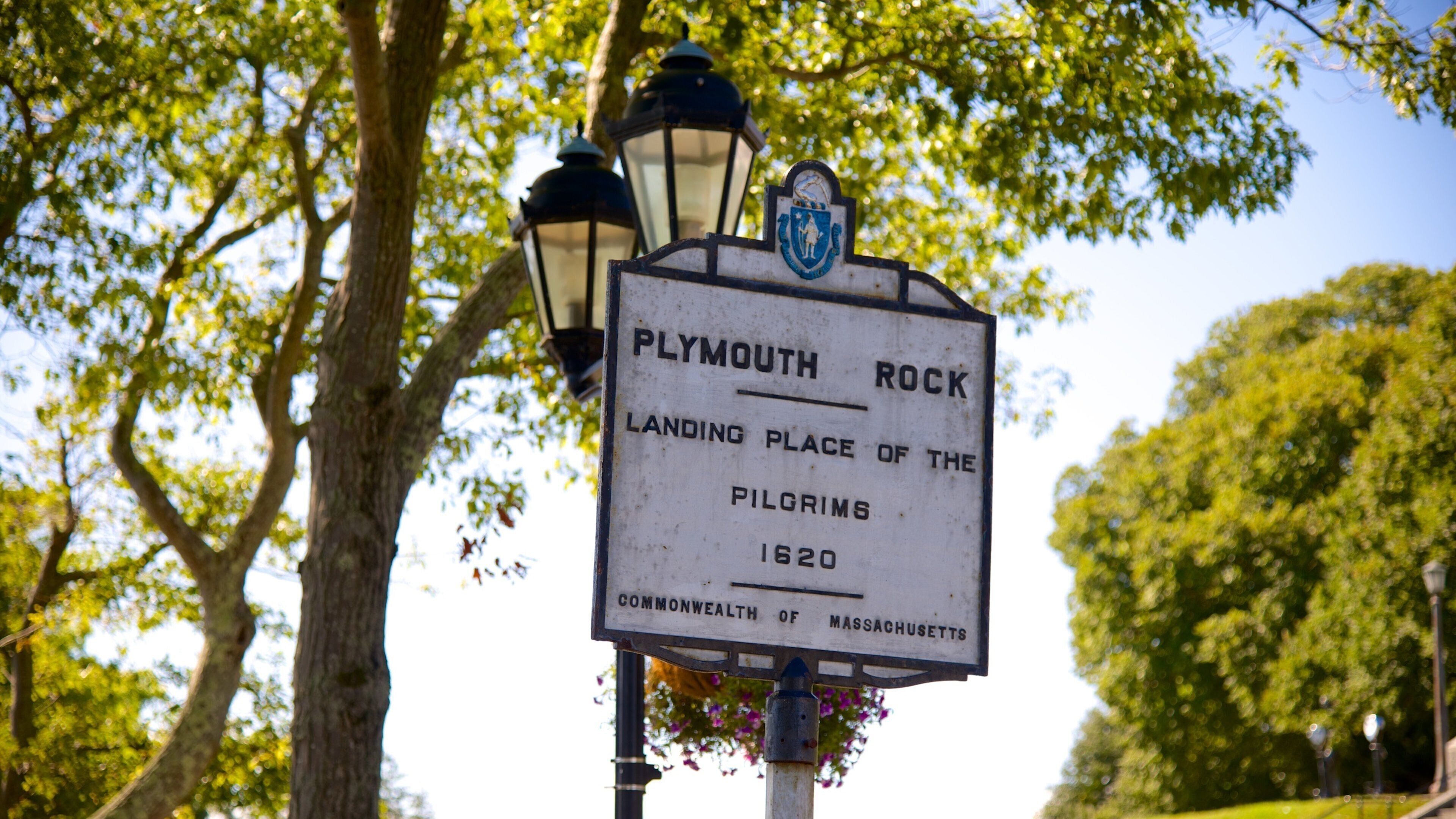 Plymouth Rock which includes signage