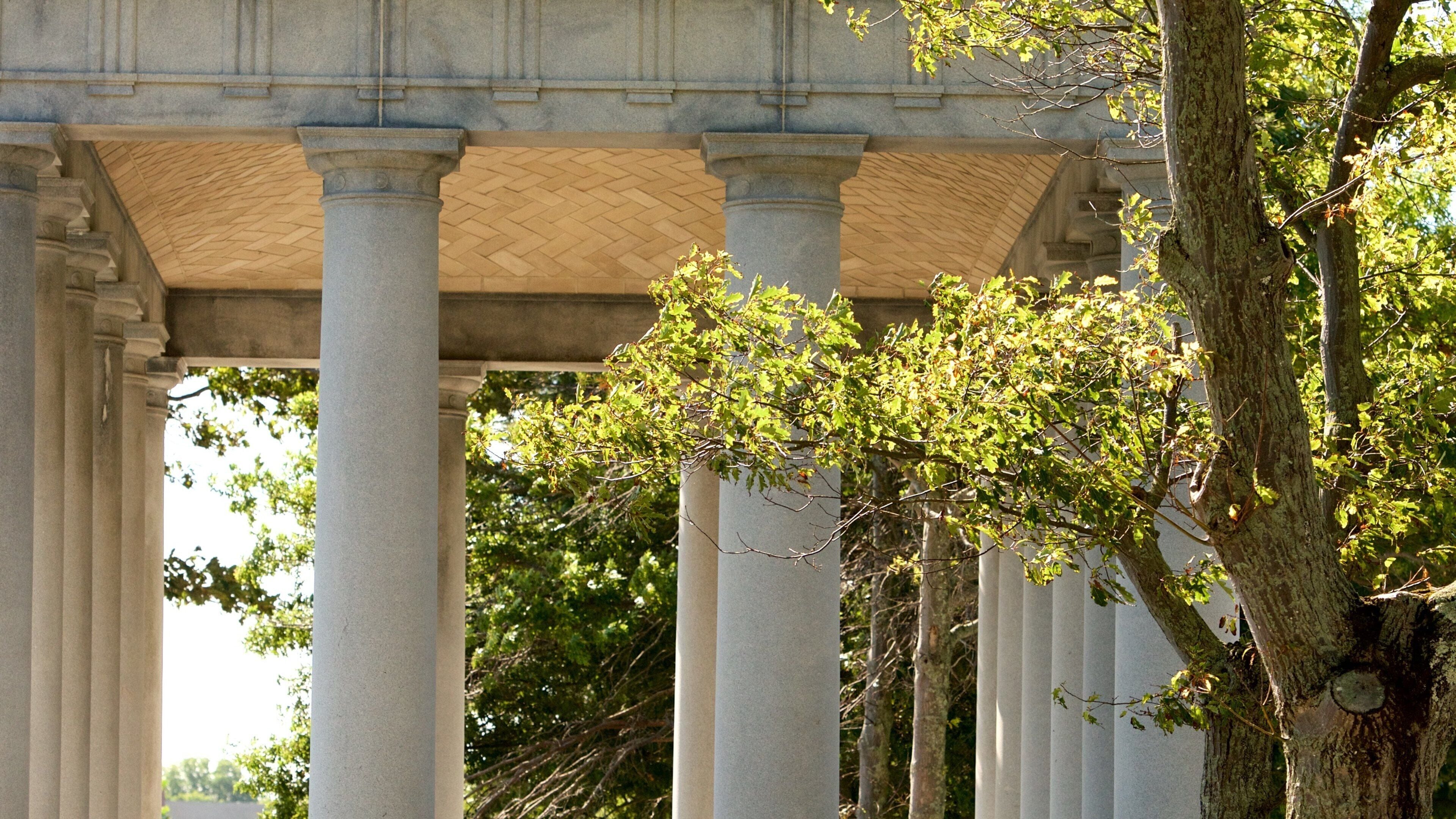 Plymouth Rock which includes a garden