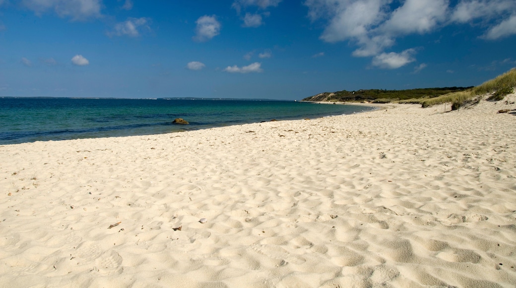 Lambert's Cove Beach