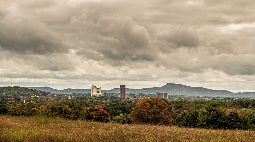 A view of the University of Massachusetts campus