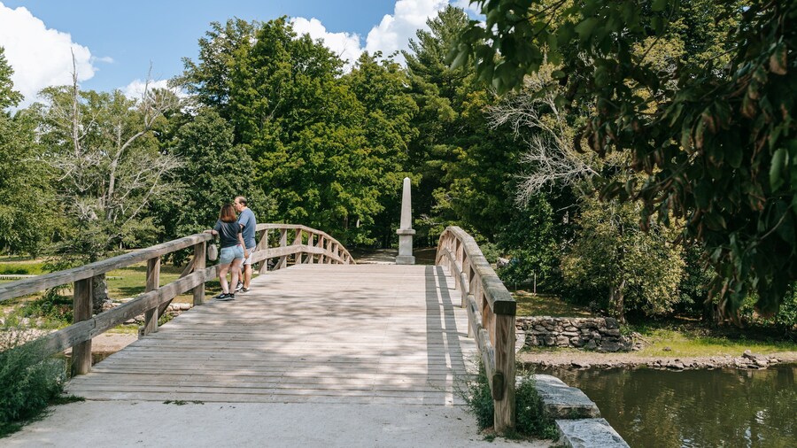 Old North Bridge showing a bridge and a pond as well as a couple