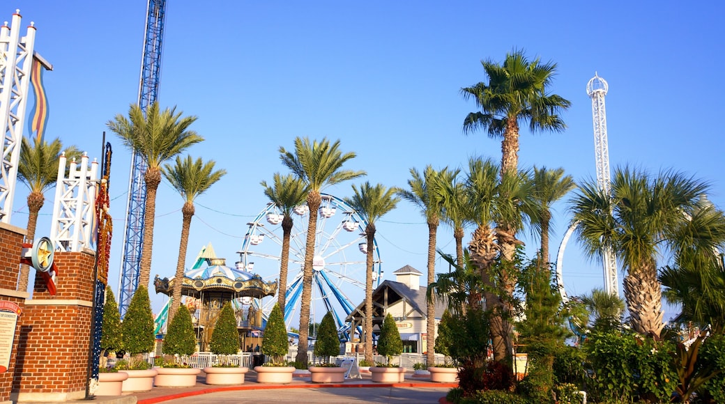Kemah Boardwalk which includes rides, a park and tropical scenes