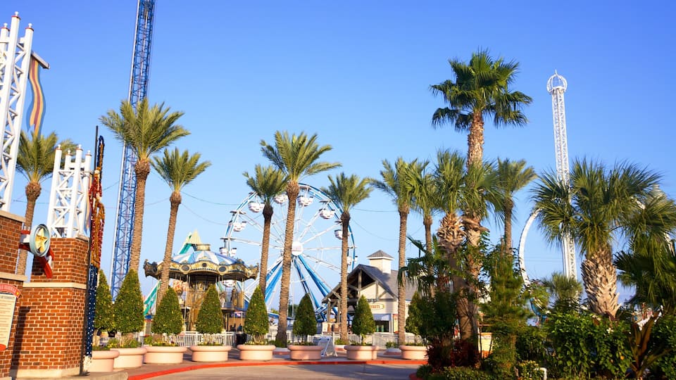 A theme park with a Ferris wheel, palm trees, and a tall observation tower.