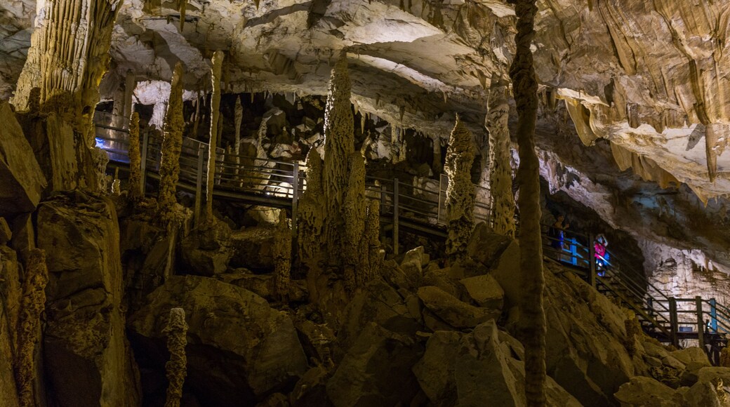 Wonder World Cave & Adventure Park