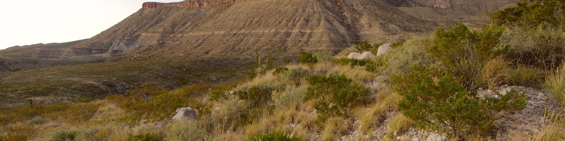 Guadalupe Mountains National Park which includes a ruin