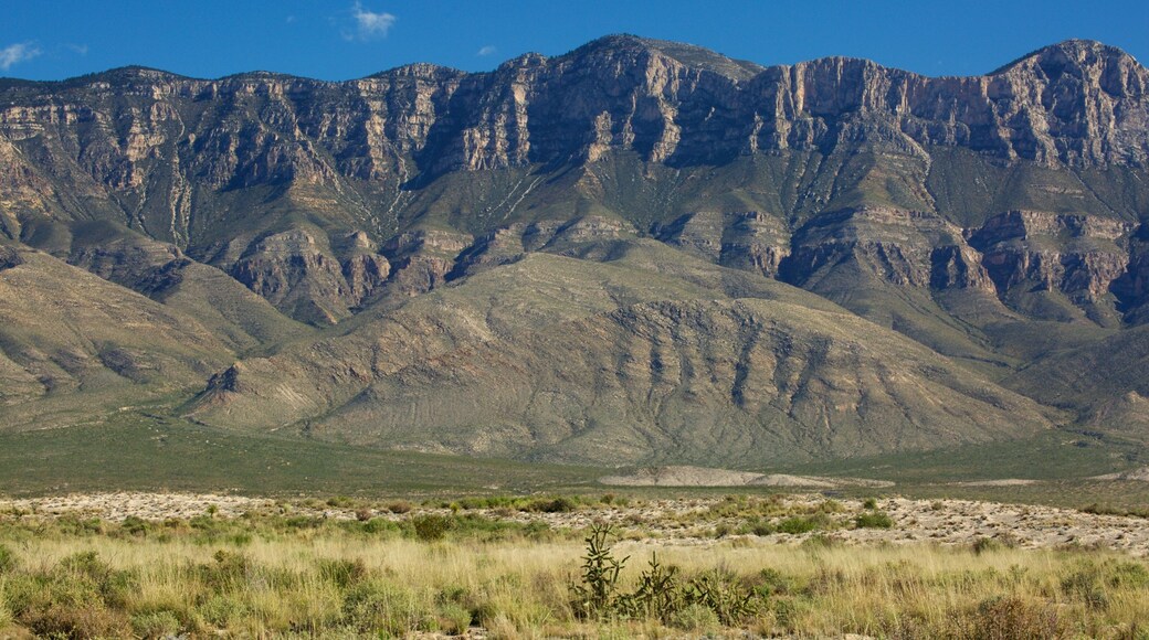 Guadalupe Mountains National Park featuring mountains