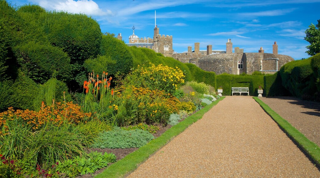 Walmer Castle and Gardens which includes heritage architecture, a garden and wildflowers