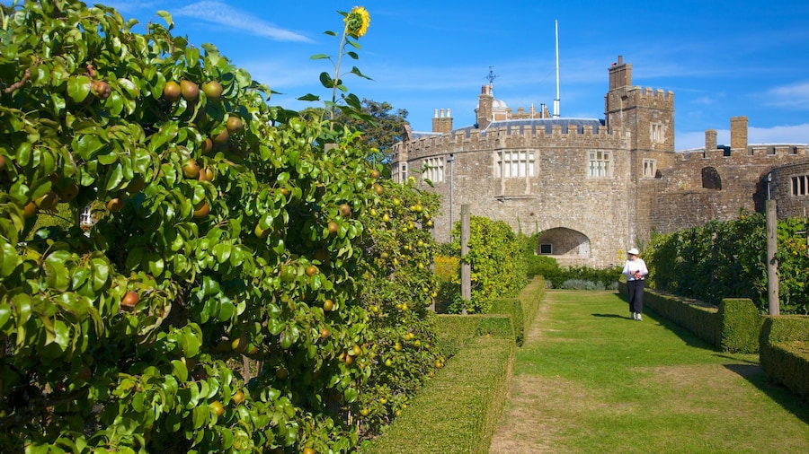 Walmer Castle and Gardens showing a castle and a garden