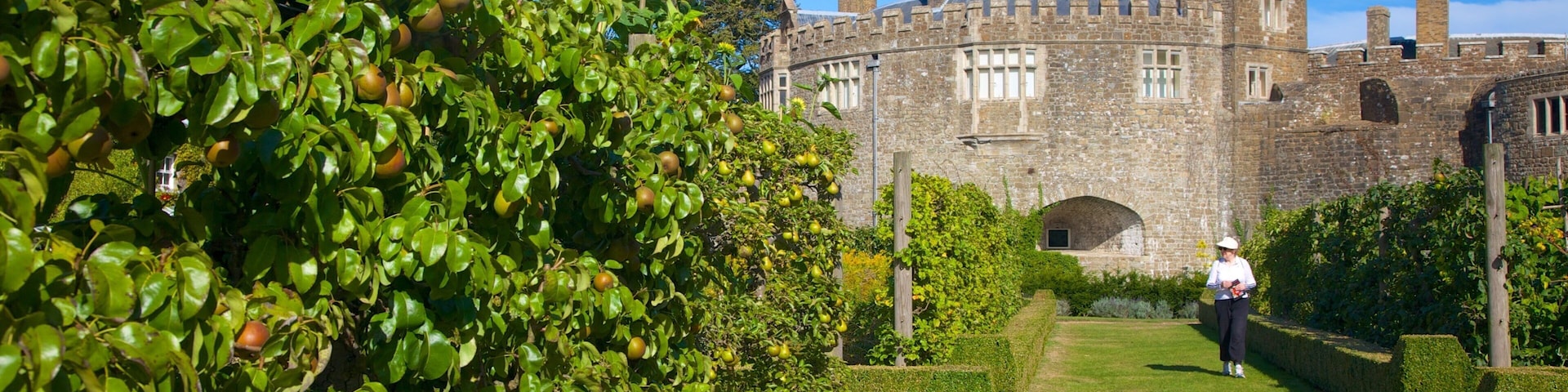 Walmer Castle and Gardens showing a castle and a garden