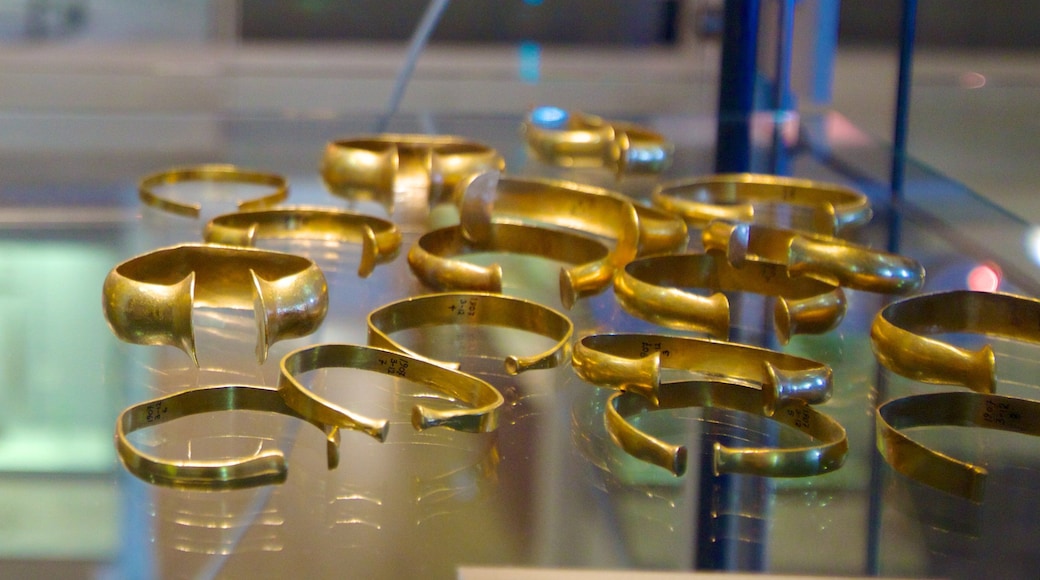 Dover Museum featuring interior views