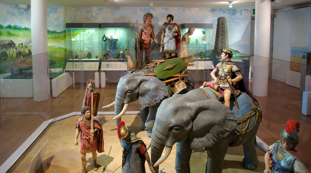 Dover Museum que incluye vistas interiores