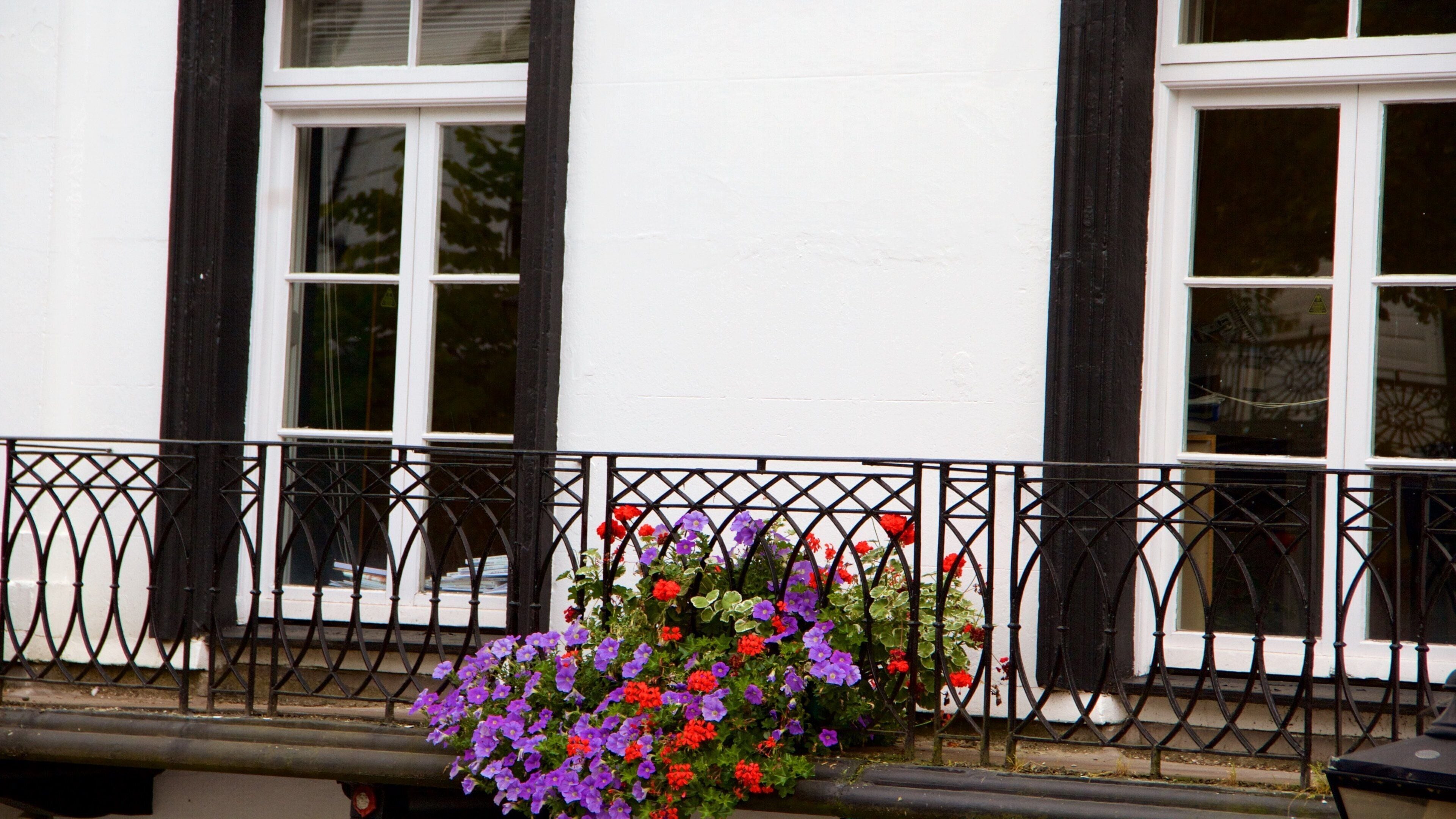 Pantiles which includes flowers