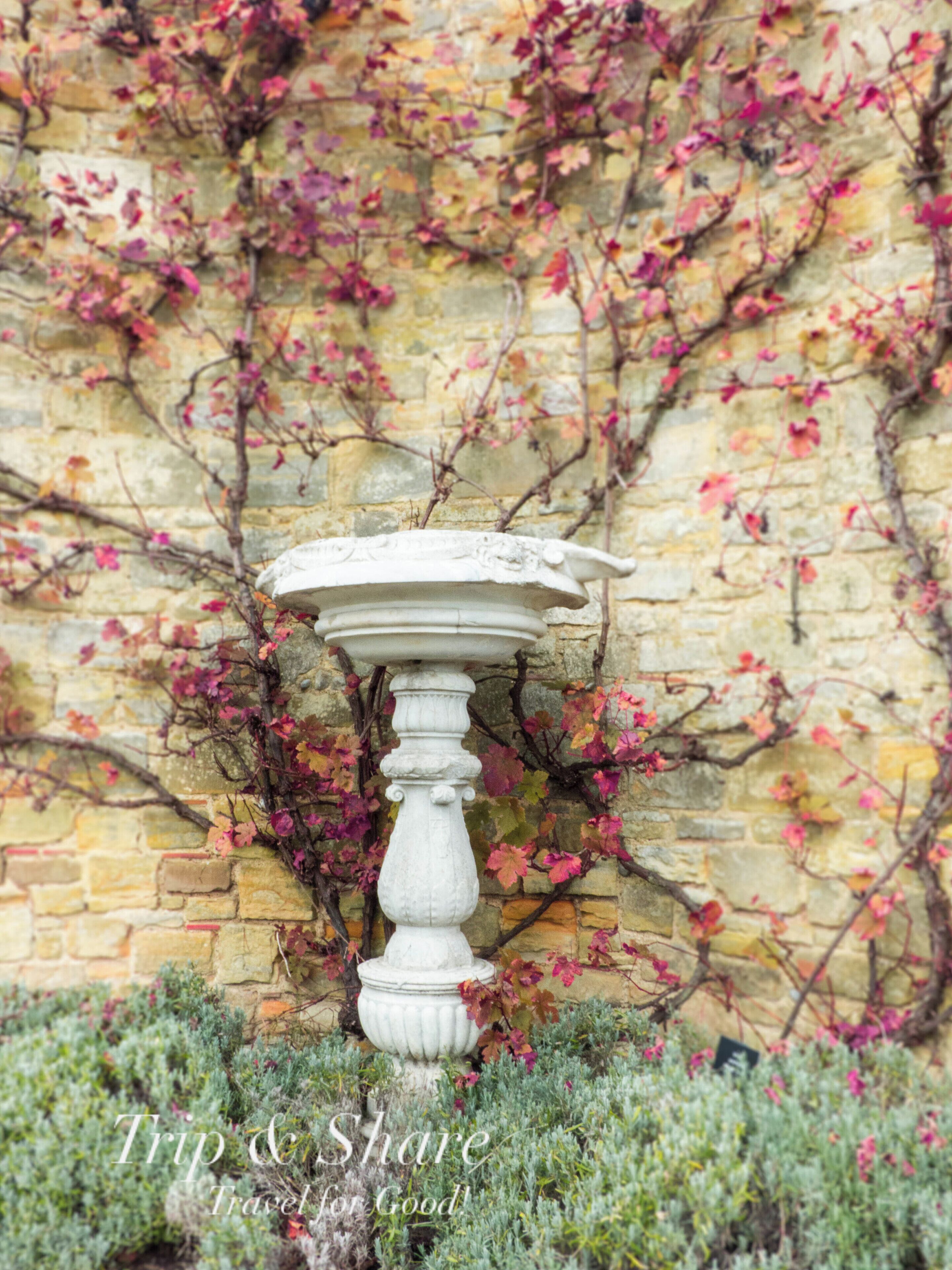 Another similar pic from the Italian garden