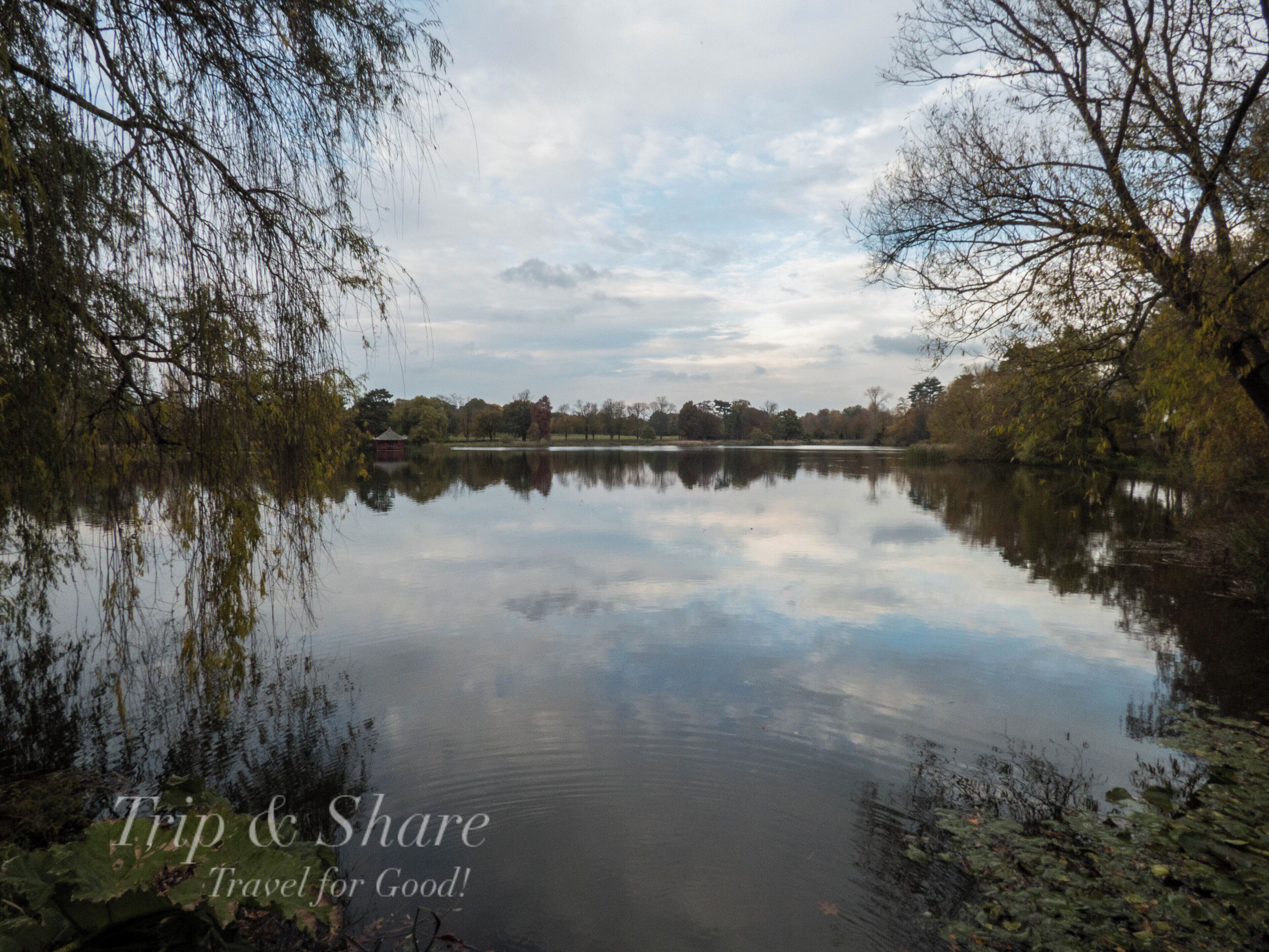 A reflective view of the lake by Hever castle...