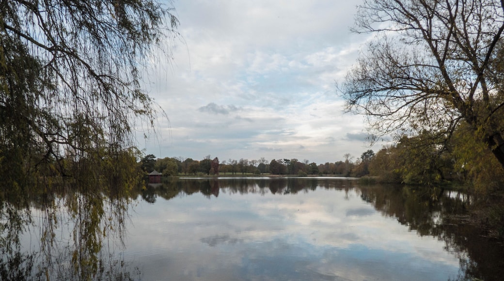 A reflective view of the lake by Hever castle...