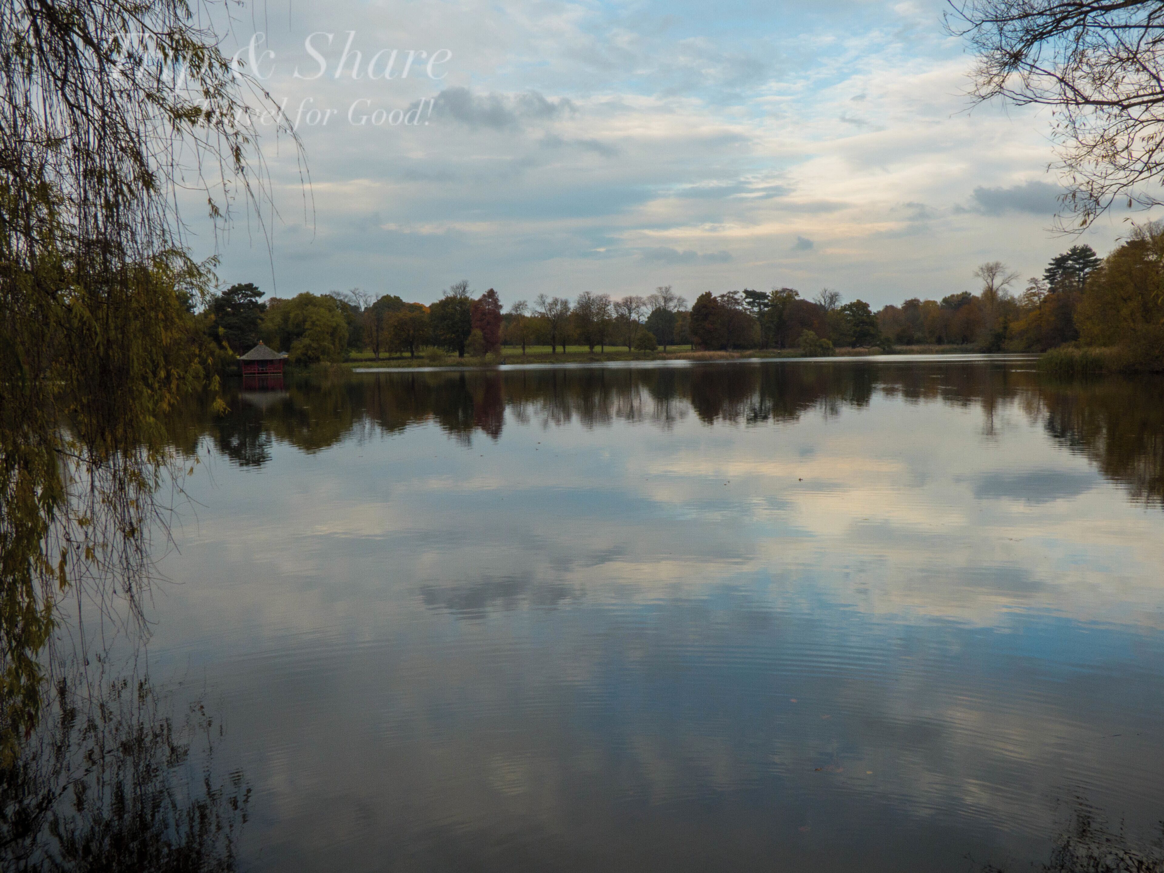 Heads in the clouds with this picture of the lake by Hever castle!
