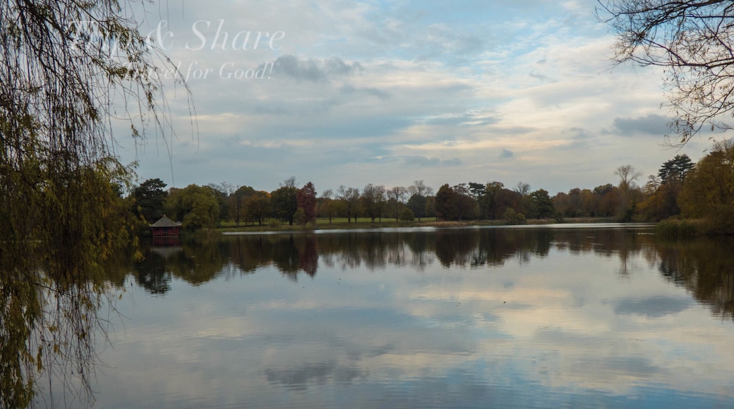 Heads in the clouds with this picture of the lake by Hever castle!