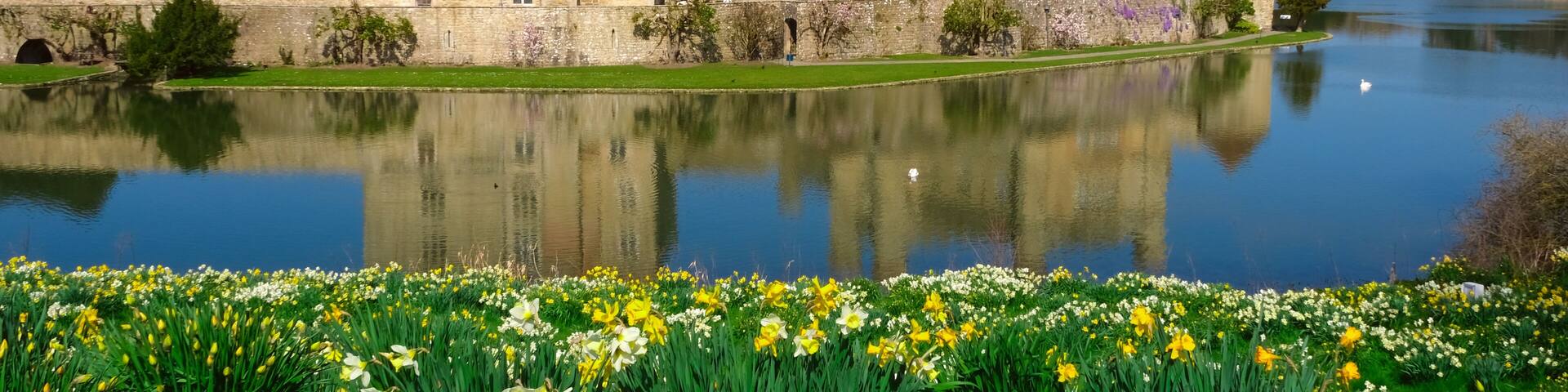 View of Leeds Castle in Kent, UK. Leeds Castle, England, reflection, spring sunny day, with flowers blooming.
